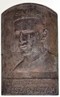 ~1935. "Isten szolgája Kaszap István 1916-1935" hadifém plakett (25x40mm) T:2-