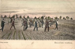 Keszthely, Balaton vidéke, Praxi munka, aratás, D. K. F., E. 903. (EK)