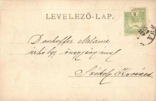 1901 Brátka; Gróf Batthyány József nyári lak (Szolcsányi villa) / villa, Art Nouveau, photo