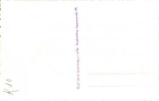 1940 Nagyszalonta, Salonta; Országzászló avatás, ünneplők a városháza karzatán magyar zászlóval / Hu...