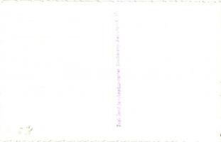 1940 Nagyszalonta, Salonta; Országzászló avatás. Dr. Kiss Ferenc anatómia professzor, a Magyarország...