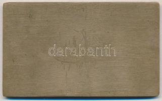 ~1930-1940. "Magyar Athletikai Club" a klub Margit-szigeti épületét ábrázoló  Br plakett (...