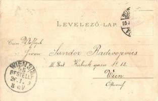 1899 Budapest, Nemzeti Múzeum, Műegyetem, Országház, Központi (Keleti) pályaudvar, Nemzeti Színház, ...