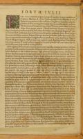 1573 Ortelius, Abraham (1527-1598) - Zsámboky János (1531-1584): Fori Iulii accurata descriptio, szí...