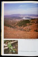 Dr. Juhász Árpád-Dr. Gál Éva:  A budai hegyvidék. Bp., é.n. Képzőművészeti