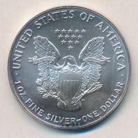Amerikai Egyesült Államok 1993. 1$ Ag Amerikai Sas T:1-,2 kis patina  USA 1993. 1 Dollar Ag American Eagle Bullion Coin C:AU,XF small patina