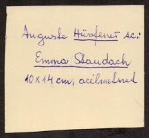 Emma von Staudach (1834-1862) zongorista portréja, acélmetszet, papír, jelzett, paszpartuban, 21×17 ...