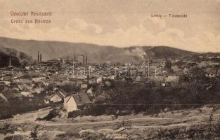 Resica, Resita; látkép az acélgyárral. W.L. 1145. / panorama view with steel factory