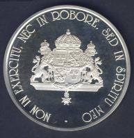 "Raoul Wallenberg" modern Ag Ag emlékérem 31,104g! T:PP Eredeti dísztokban, tanúsítvánnyal...