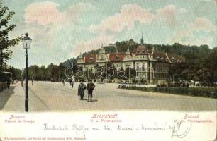 Brassó, Kronstadt, Brasov; Palatul de finante / K. u. Finanzpalais / M. kir. pénzügyi palota, Wilh. Hiemesch kiadása / commercial palace (kopott sarkak / worn corners)