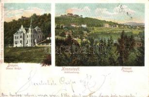 Brassó, Kronstadt, Brasov; Dealul Strajii / Schlossberg / Fellegvár, villák, Wilh. Hiemesch kiadása / villas, general view (EK)