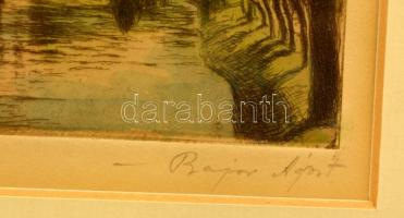 Bajor Ágost (1892-1958): Vajdahunyad vára. Színezett rézkarc, papír, jelzett, üvegezett keretben, 12...