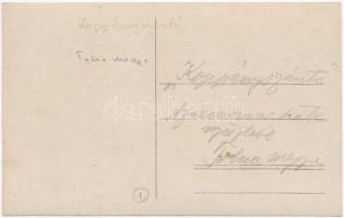 Koppányszántó, szarvasmarha tenyésztése, photo