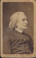 Liszt Ferenc (1811-1886) portréja. Kozmata Ferenc keményhátú fotója. / Original photo of Franz Liszt composer. 9x11 cm