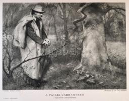 Költők albuma. Összeáll.: Radó Antal. 3. kiad. Bp., é. n., Lampel. Kopott, javított gerincű díszes v...