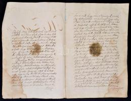 1831 Szabolcs vármegye közgyűlésének jegyzőkönyvéből származó kivonat, melyben a Kértsy család nemes...