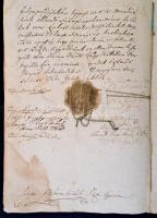 1831 Szabolcs vármegye közgyűlésének jegyzőkönyvéből származó kivonat, melyben a Kértsy család nemes...