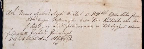 1831 Szabolcs vármegye közgyűlésének jegyzőkönyvéből származó kivonat, melyben a Kértsy család nemes...