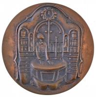 Ligeti Erika (1934-2004) 1975. "A Szocialista Magyar Gyógyszerellátásért 1950-1975" kétoldalas Br plakett (97mm) T:2 patina