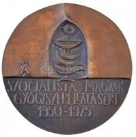 Ligeti Erika (1934-2004) 1975. "A Szocialista Magyar Gyógyszerellátásért 1950-1975" kétold...