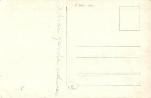 Ditró, Ditrau; gazdaudvar, termelői-mezőgazdasági telep / farmers plant, photo