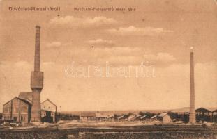 Marzsina, Marschina, Margina; Ruszkato-Falepároló rt., Pangl József kiadása / wood-distillation plant (EK)