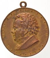 1928. Franz Schubert 1828 - 1928 Cu érem füllel (25mm) T:2 1928. Franz Schubert 1828 - 1928 Cu medallion with ear (25mm) C:XF