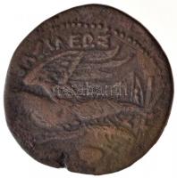 Ptolemaida Egyiptom / II. Ptolemaiosz Kr. e. 282-246. AE Obol (11,7g) T:2-
Ptolemaic Egypt / Ptolem...