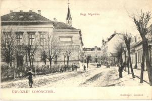 Losonc, Lucenec; Nagy Bég utca, Redlinger kiadása / street view (EK)