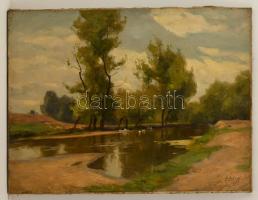 Edvi Illés Aladár (1870-1958): Tó part libákkal. Olaj, vászon, jelzett, 60×80 cm