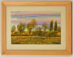 Bóka Dezső (1935-): Őszi táj. Akvarell, papír, jelzett, üvegezett keretben, 40×54 cm