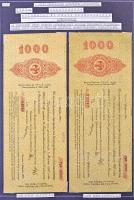 Egyedülálló orosz és szovjet bankjegy/szükségpénz/kötvény gyűjtemény öt albumba rendezve, leírásokka...