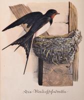 Insel Bücherei sorozat két kötete (Nr. 100., 158.)
Das kleine Buch der Greise. Einheimische Raubvög...