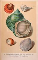 Insel Bücherei sorozat két kötete (Nr. 54.,158.): 
Das kleine Buch der Edelsteine.
Das kleine Buch...