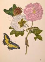 Insel Bücherei sorozat két kötete (Nr. 213.,351.): 
Das kleine Buch der Tropenwunder.
Das kleine B...