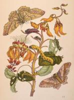 Insel Bücherei sorozat két kötete (Nr. 213.,351.): 
Das kleine Buch der Tropenwunder.
Das kleine B...