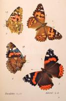 Insel Bücherei sorozat két kötete (Nr. 213.,351.): 
Das kleine Buch der Tropenwunder.
Das kleine B...