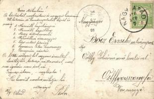 1910 Nagyatád, csoportkép K.u.K. hadnaggyal és zászlóssal, hátoldalon nevekkel, photo (EK)