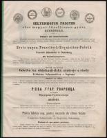 cca 1890 Seltenhofer Frigyes tűzoltószer gyár képes reklámnyomtatvány 16 p. 26x34 cm