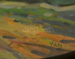 Vass jelzéssel: Erdélyi táj. Olaj, karton, üvegezett keretben, 12,5x17,5 cm