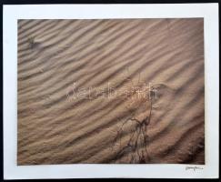 Vincze János (1922-1998): Fény és árnyék, fotó, kartonra ragasztva, aláírt, hátulján feliratozva, 23,5×30,5 cm