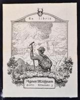 China unter der Kaiserin Witwe., Die Lebens- und Zeitgeschichte der Kaiserin Tzu Hsi. Zusammengestel...