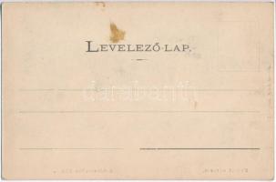 Zboró, Zborov; várromok. Divald Adolf 24. + A képeslap eredeti Divald fotopolimer kliséje! / Schloss...