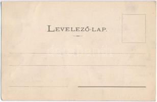 Zboró, Zborov; Rákóczi féle várkastélya. Divald Adolf 151. + A képeslap eredeti Divald fotopolimer k...