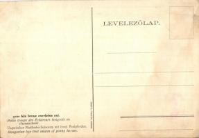 Magyar kis lovas cserkész raj. Tiszántúli Hírlap Rt. kiadása / Ungarischer Pfadfinder-Schwarm mit Po...