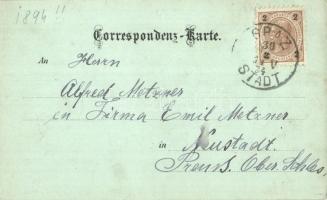 1894 (Vorläufer!) Graz, Gruss aus! / Folklore greeting litho art postcard  (EK)