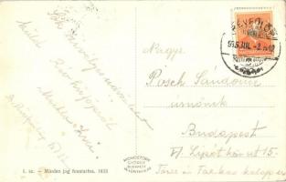 Révfülöp, Hajóállomás