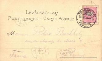 1896 (Vorläufer!) Budapest, Grand Hotel Hungaria, Corso. Czettel és Deutsch, floral (EB)