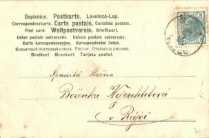 Osztrák-Magyar Tíz Koronás bankjegy gombákkal / Zehn Kronen / Austro-Hungarian Ten Crowns banknote, ...