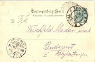 SMS Panther, a K. u. K. haditengerészet torpedócirkálója / K.u.K. Kriegsmarine / Austro-Hungarian Na...